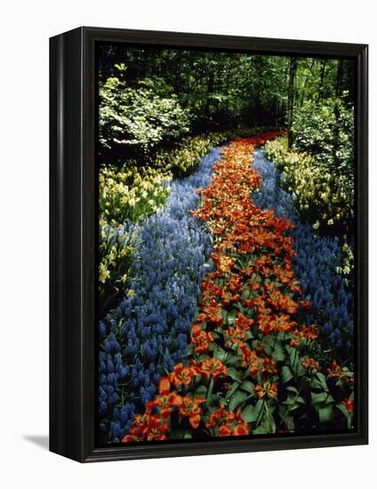 Keukenhof Gardens, Lisse, Netherlands-null-Framed Premier Image Canvas