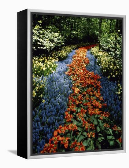 Keukenhof Gardens, Lisse, Netherlands-null-Framed Premier Image Canvas