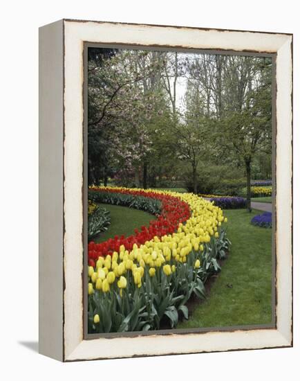 Keukenhof Gardens, Lisse, Netherlands-null-Framed Premier Image Canvas