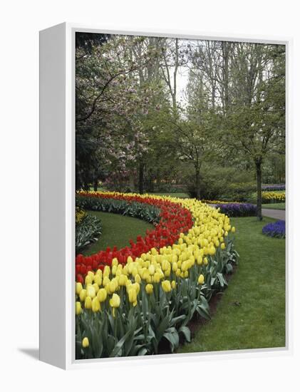 Keukenhof Gardens, Lisse, Netherlands-null-Framed Premier Image Canvas