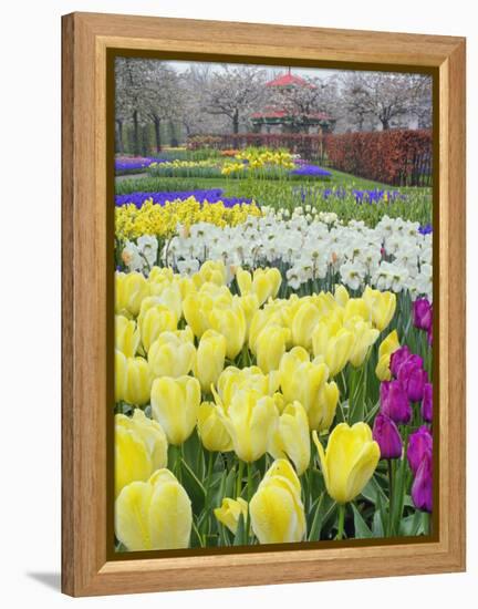 Keukenhof Gardens, Lisse, Netherlands-Adam Jones-Framed Premier Image Canvas