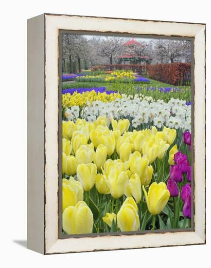 Keukenhof Gardens, Lisse, Netherlands-Adam Jones-Framed Premier Image Canvas