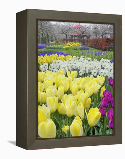 Keukenhof Gardens, Lisse, Netherlands-Adam Jones-Framed Premier Image Canvas