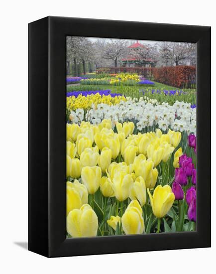 Keukenhof Gardens, Lisse, Netherlands-Adam Jones-Framed Premier Image Canvas