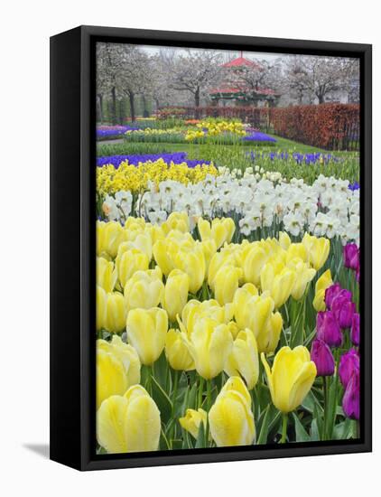 Keukenhof Gardens, Lisse, Netherlands-Adam Jones-Framed Premier Image Canvas