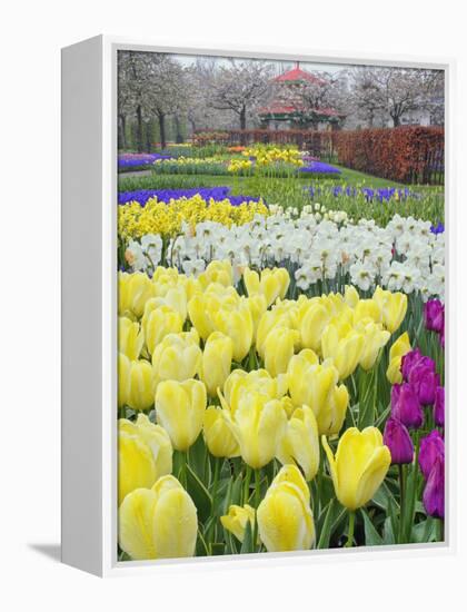 Keukenhof Gardens, Lisse, Netherlands-Adam Jones-Framed Premier Image Canvas