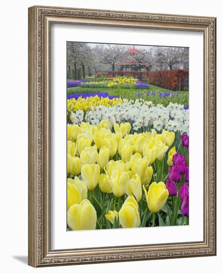 Keukenhof Gardens, Lisse, Netherlands-Adam Jones-Framed Photographic Print