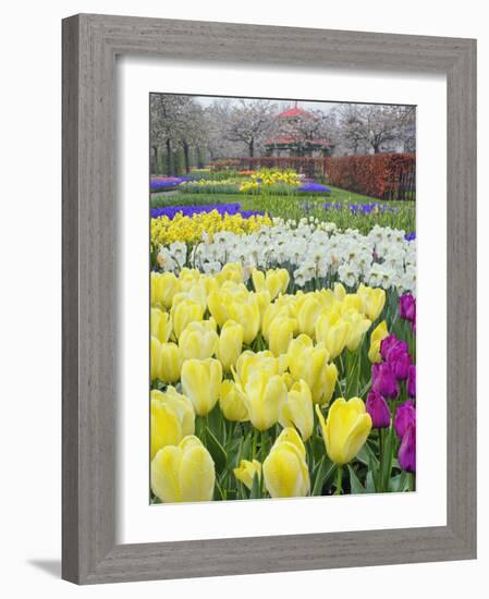 Keukenhof Gardens, Lisse, Netherlands-Adam Jones-Framed Photographic Print