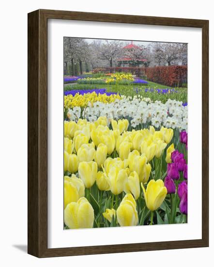 Keukenhof Gardens, Lisse, Netherlands-Adam Jones-Framed Photographic Print