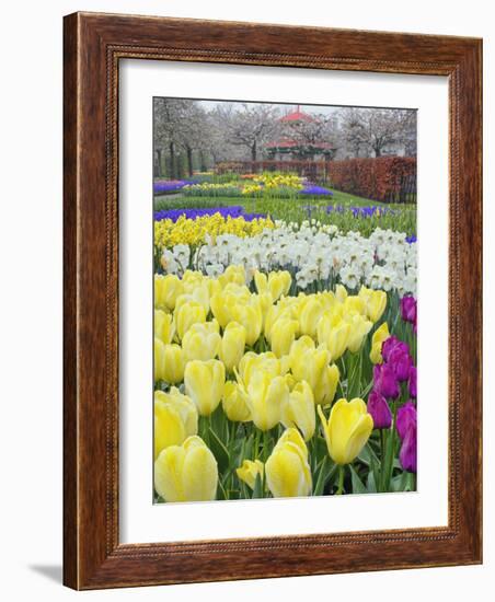 Keukenhof Gardens, Lisse, Netherlands-Adam Jones-Framed Photographic Print