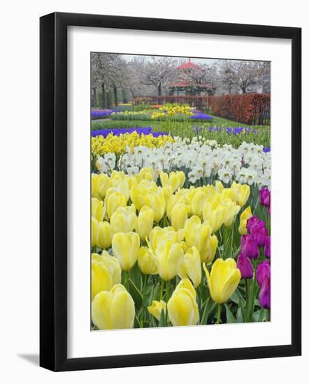 Keukenhof Gardens, Lisse, Netherlands-Adam Jones-Framed Photographic Print