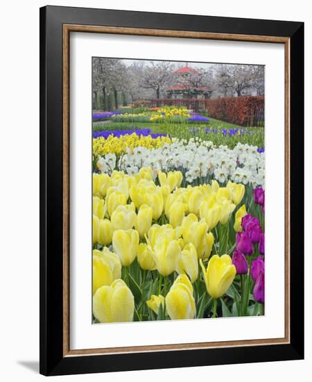 Keukenhof Gardens, Lisse, Netherlands-Adam Jones-Framed Photographic Print