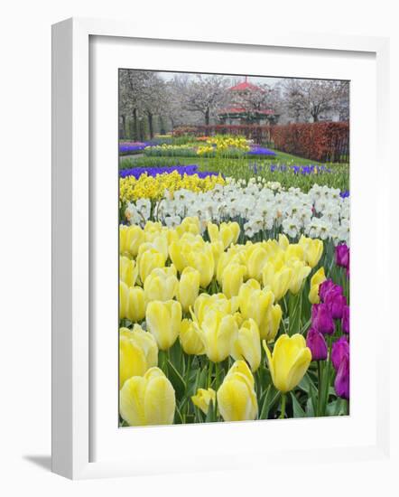 Keukenhof Gardens, Lisse, Netherlands-Adam Jones-Framed Photographic Print