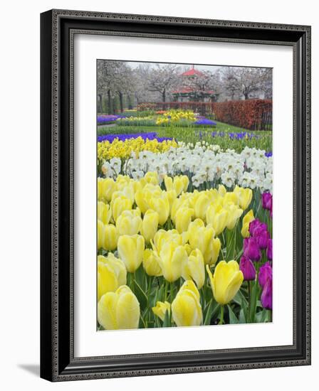 Keukenhof Gardens, Lisse, Netherlands-Adam Jones-Framed Photographic Print