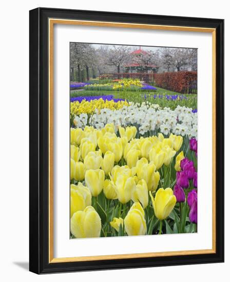 Keukenhof Gardens, Lisse, Netherlands-Adam Jones-Framed Photographic Print