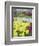 Keukenhof Gardens, Lisse, Netherlands-Adam Jones-Framed Photographic Print