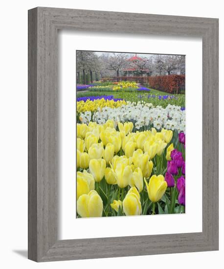 Keukenhof Gardens, Lisse, Netherlands-Adam Jones-Framed Photographic Print