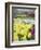 Keukenhof Gardens, Lisse, Netherlands-Adam Jones-Framed Photographic Print