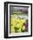 Keukenhof Gardens, Lisse, Netherlands-Adam Jones-Framed Photographic Print