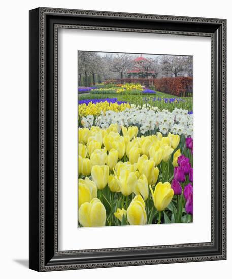 Keukenhof Gardens, Lisse, Netherlands-Adam Jones-Framed Photographic Print