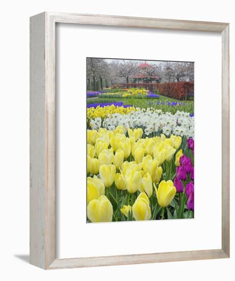 Keukenhof Gardens, Lisse, Netherlands-Adam Jones-Framed Photographic Print