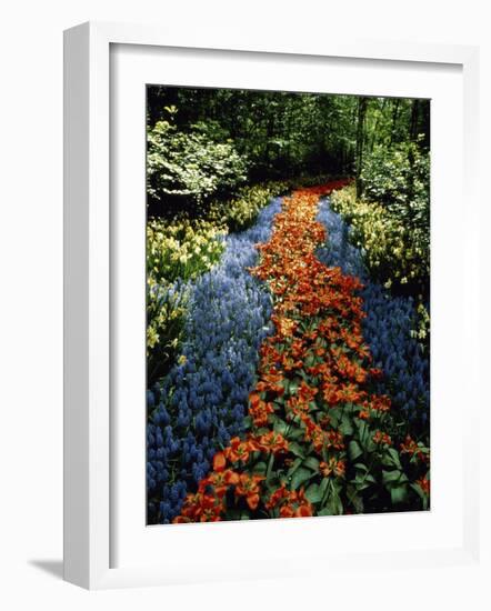 Keukenhof Gardens, Lisse, Netherlands-null-Framed Photographic Print