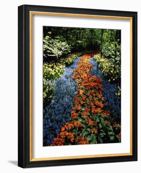 Keukenhof Gardens, Lisse, Netherlands-null-Framed Photographic Print