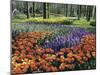 Keukenhof Gardens, Lisse, Netherlands-null-Mounted Photographic Print