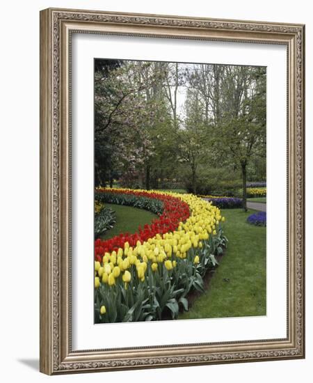 Keukenhof Gardens, Lisse, Netherlands-null-Framed Photographic Print