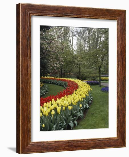 Keukenhof Gardens, Lisse, Netherlands-null-Framed Photographic Print