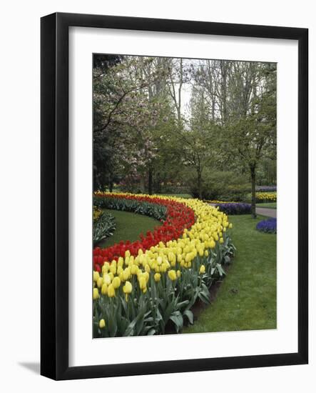 Keukenhof Gardens, Lisse, Netherlands-null-Framed Photographic Print