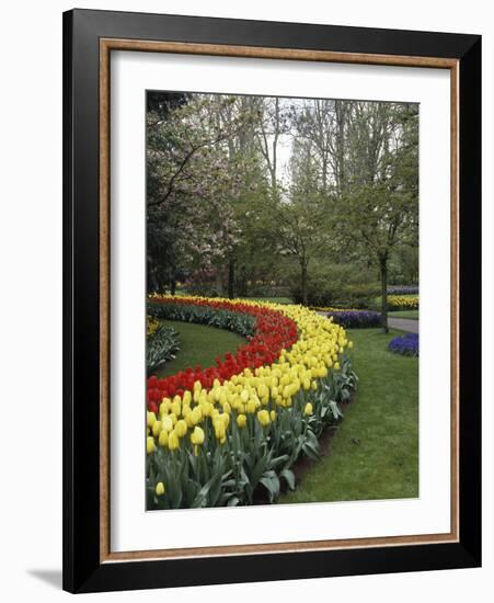 Keukenhof Gardens, Lisse, Netherlands-null-Framed Photographic Print