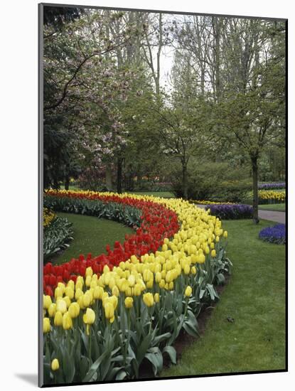 Keukenhof Gardens, Lisse, Netherlands-null-Mounted Photographic Print