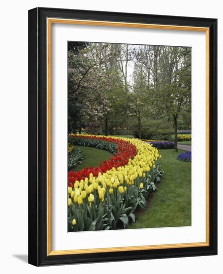 Keukenhof Gardens, Lisse, Netherlands-null-Framed Photographic Print