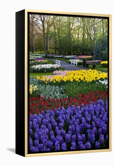 Keukenhof Gardens Near Lisse in Springtime Bloom-Darrell Gulin-Framed Premier Image Canvas