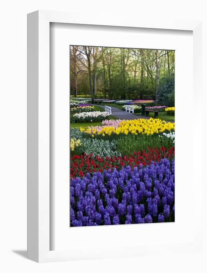 Keukenhof Gardens Near Lisse in Springtime Bloom-Darrell Gulin-Framed Photographic Print