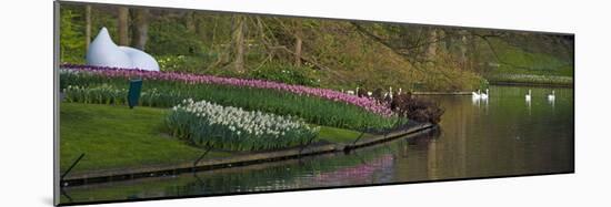 Keukenhof Gardens Panorama with Swans-Anna Miller-Mounted Photographic Print