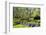 Keukenhof near Lisse, South Holland, Netherlands, Europe-Hans-Peter Merten-Framed Photographic Print