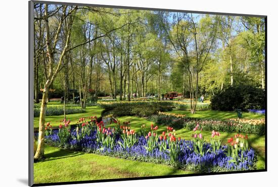 Keukenhof near Lisse, South Holland, Netherlands, Europe-Hans-Peter Merten-Mounted Photographic Print