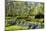 Keukenhof near Lisse, South Holland, Netherlands, Europe-Hans-Peter Merten-Mounted Photographic Print