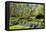 Keukenhof near Lisse, South Holland, Netherlands, Europe-Hans-Peter Merten-Framed Premier Image Canvas