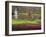 Keukenhof, Park and Gardens Near Amsterdam, Netherlands, Europe-Amanda Hall-Framed Photographic Print