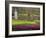 Keukenhof, Park and Gardens Near Amsterdam, Netherlands, Europe-Amanda Hall-Framed Photographic Print