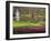 Keukenhof, Park and Gardens Near Amsterdam, Netherlands, Europe-Amanda Hall-Framed Photographic Print