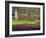 Keukenhof, Park and Gardens Near Amsterdam, Netherlands, Europe-Amanda Hall-Framed Photographic Print