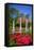 Keukenhof-Charles Bowman-Framed Premier Image Canvas