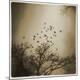 Premium Photographic Print
