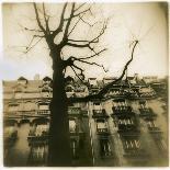 Urban Paris Landscape with Tree-Kevin Cruff-Photographic Print
