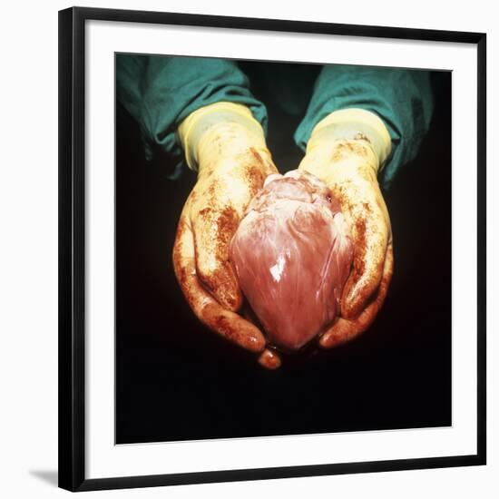 Photographic Print, , large