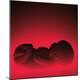 Premium Photographic Print